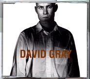 David Gray - Birds Without Wings